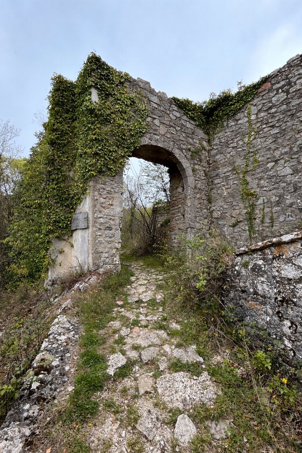 Immagine di copertina